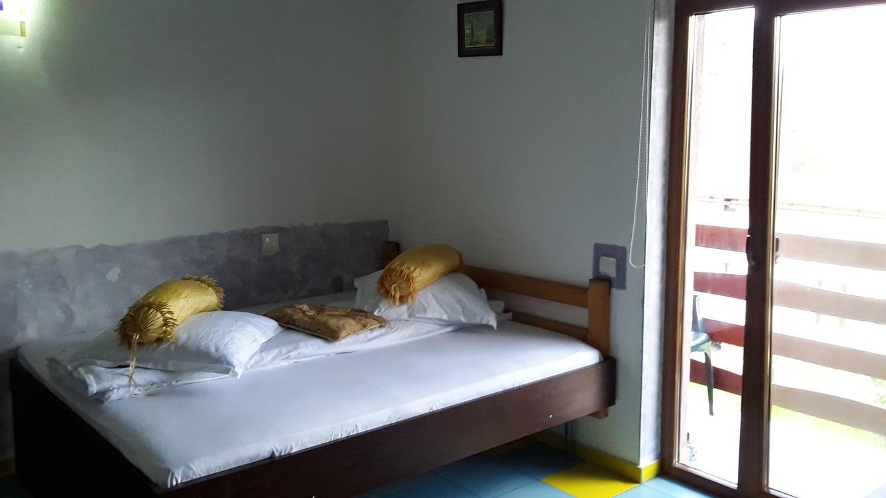 Pensiunea Mallorca Vişeu de Sus Extérieur photo