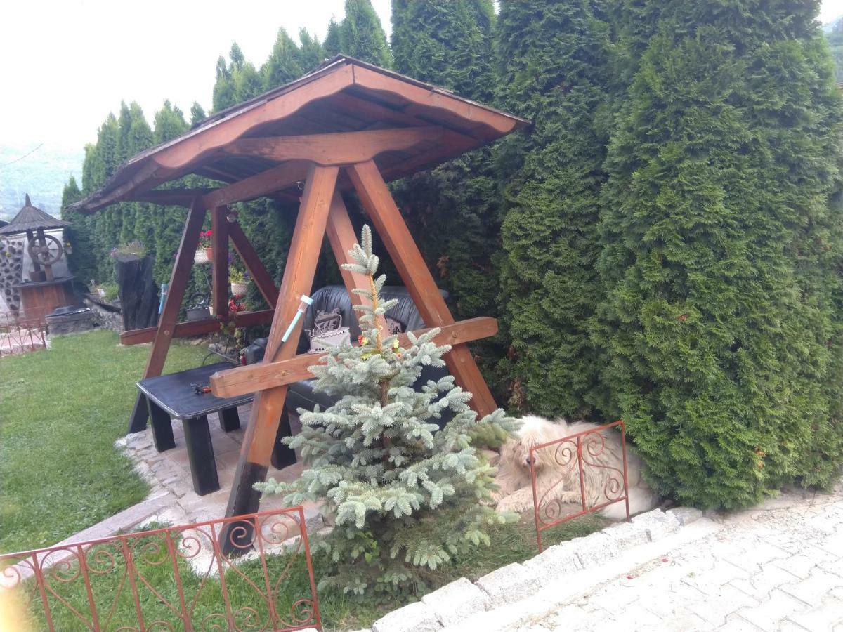 Pensiunea Mallorca Vişeu de Sus Extérieur photo